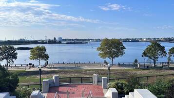 A waterfront park with red brick steps leading to a viewing area, overlooking a calm body of water and distant cityscape.