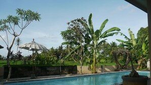 A swimming pool with a tiled edge, surrounded by greenery and a stone wall. - Asri Sari Resort Ubud (Ubud)
