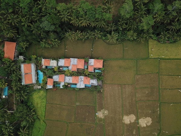 An aerial view of a rural area with a cluster of houses with red roofs, surrounded by fields and palm trees. - Asri Sari Resort Ubud (Ubud)