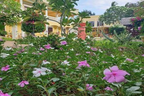 En hotelgård med frodigt grønt og blomstrende planter.