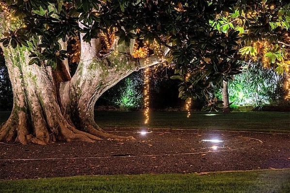 A large tree with a thick trunk and extensive roots, surrounded by a well-maintained grassy area. - Villa I Pini (Civitella in Val di Chiana)