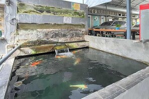 Ein Teich mit Koi-Karpfen, mit Wasserfall, umgeben von Steinmauern und einem gefliesten Boden.