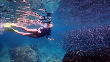 A person swimming underwater with fins, surrounded by a school of fish.