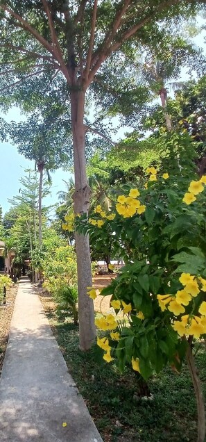 Property grounds - Baan Long Beach (Ko Lanta)