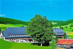 Ein Gebäude mit einem großen Baum davor, umgeben von grünen Feldern und Hügeln.