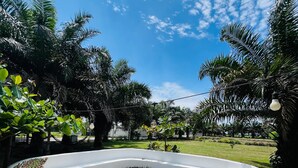 A park with a circular concrete structure, palm trees, and a clear sky.