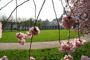 A park with cherry blossoms and a building with columns in the background. - Apparthaus Pfeifer (Baden-Baden)