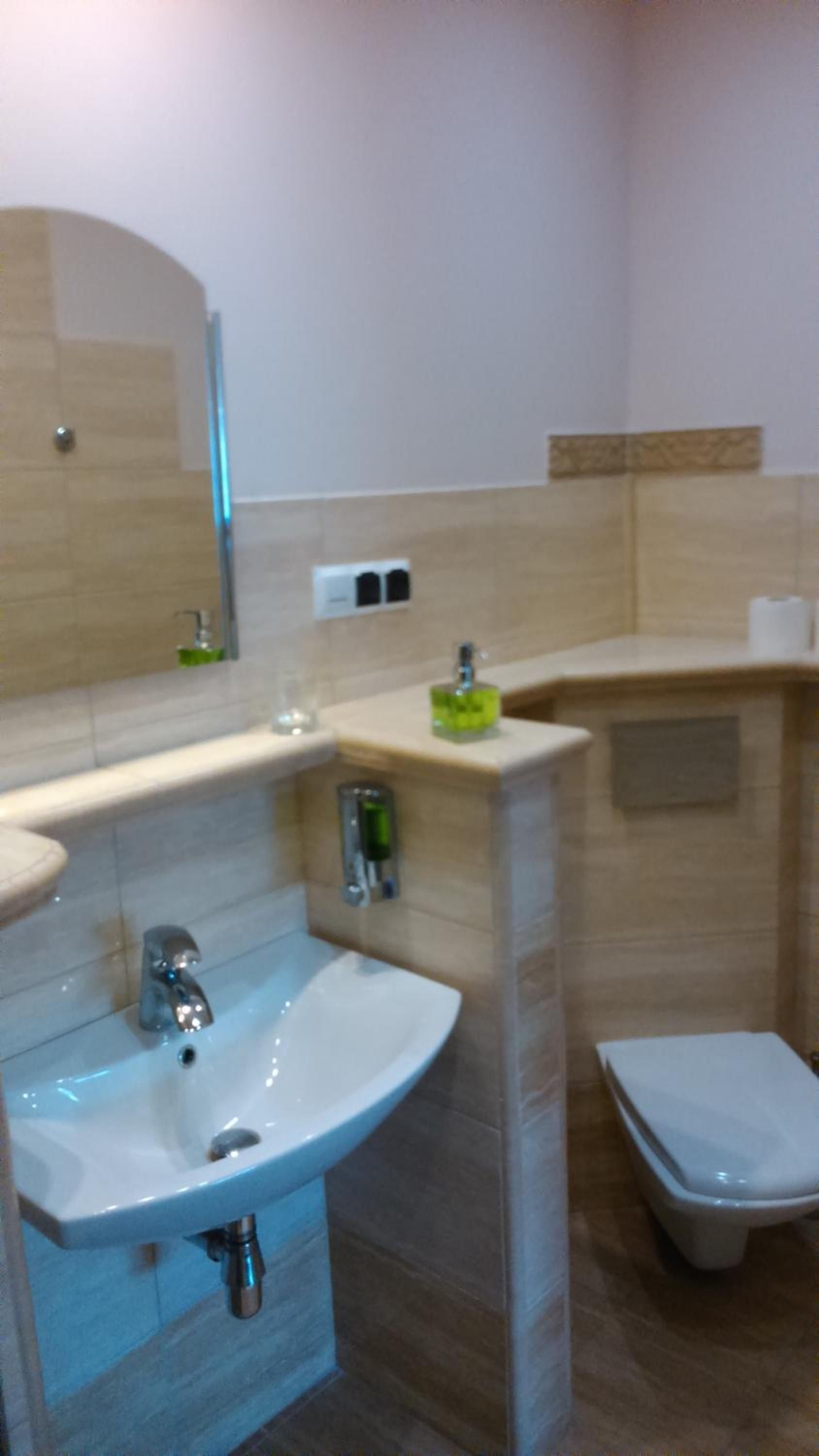 A bathroom with a sink, mirror, and toilet.