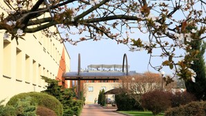 A pathway leading to a building with a modern architectural design, surrounded by well-maintained hedges and flowering trees. - Centrum Konferencyjne Ibib Pan (Warsaw)