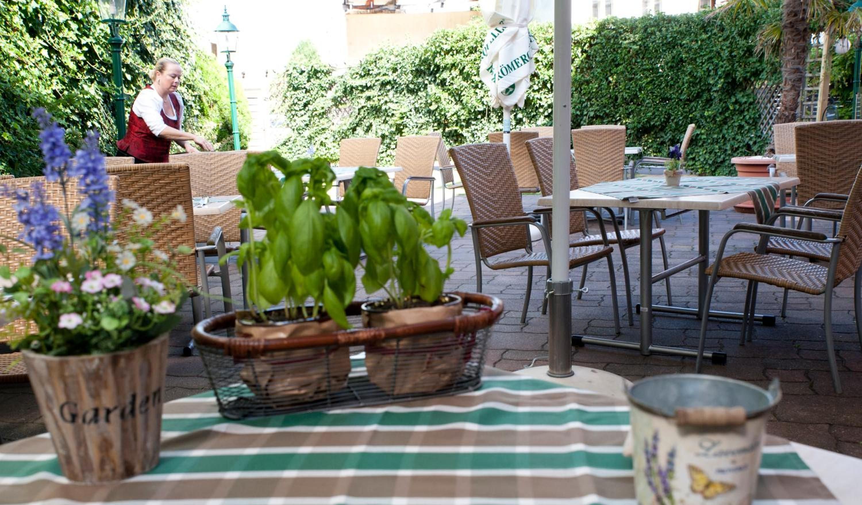An outdoor seating area with wicker chairs and tables, surrounded by greenery and a hedge.