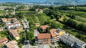 A residential area with houses, a road, and vineyards. - Hotel La Carica (Pastrengo)