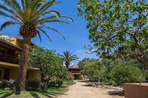 A courtyard with palm trees, a building with balconies, and a clear sky. - Casa Vecchia Rooms Apartments (Calvi)