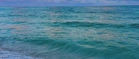 Playa en los alrededores