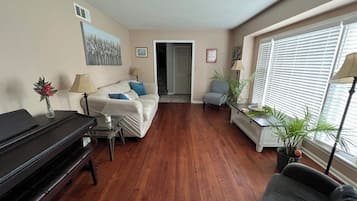 Smart TV, fireplace, DVD player, books