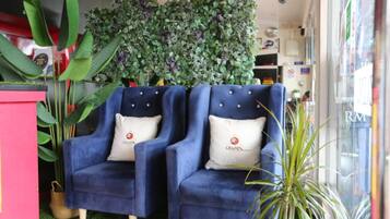 Two blue armchairs with matching cushions, a green artificial grass floor, and a wall of green foliage.