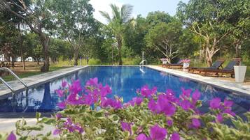 A swimming pool with a clear blue water surface, surrounded by lush greenery and trees.