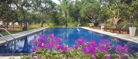 A swimming pool with a clear blue water surface, surrounded by lush greenery and trees.