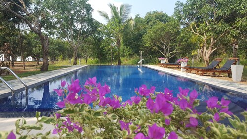 Dambulla Hills Resort