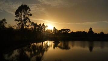 A calm body of water reflecting trees and a sunset.