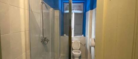 A narrow bathroom with a glass shower enclosure, a sink, and a toilet.