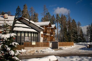 A hotel with a wooden facade, large windows, and a snow-covered roof. - Hotel Leonard (Nova Ponente)