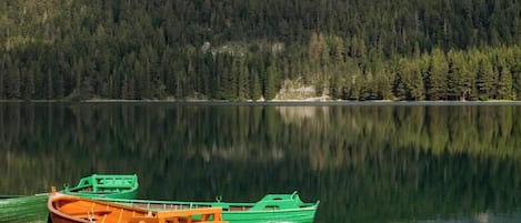 Vue depuis l’hébergement