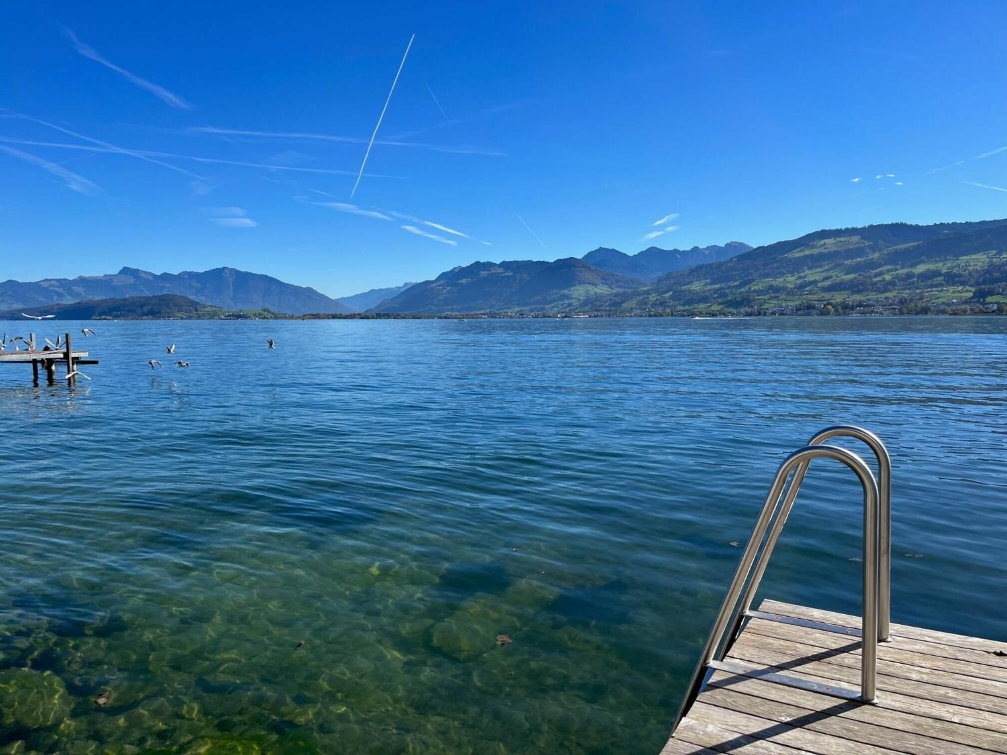 View from property