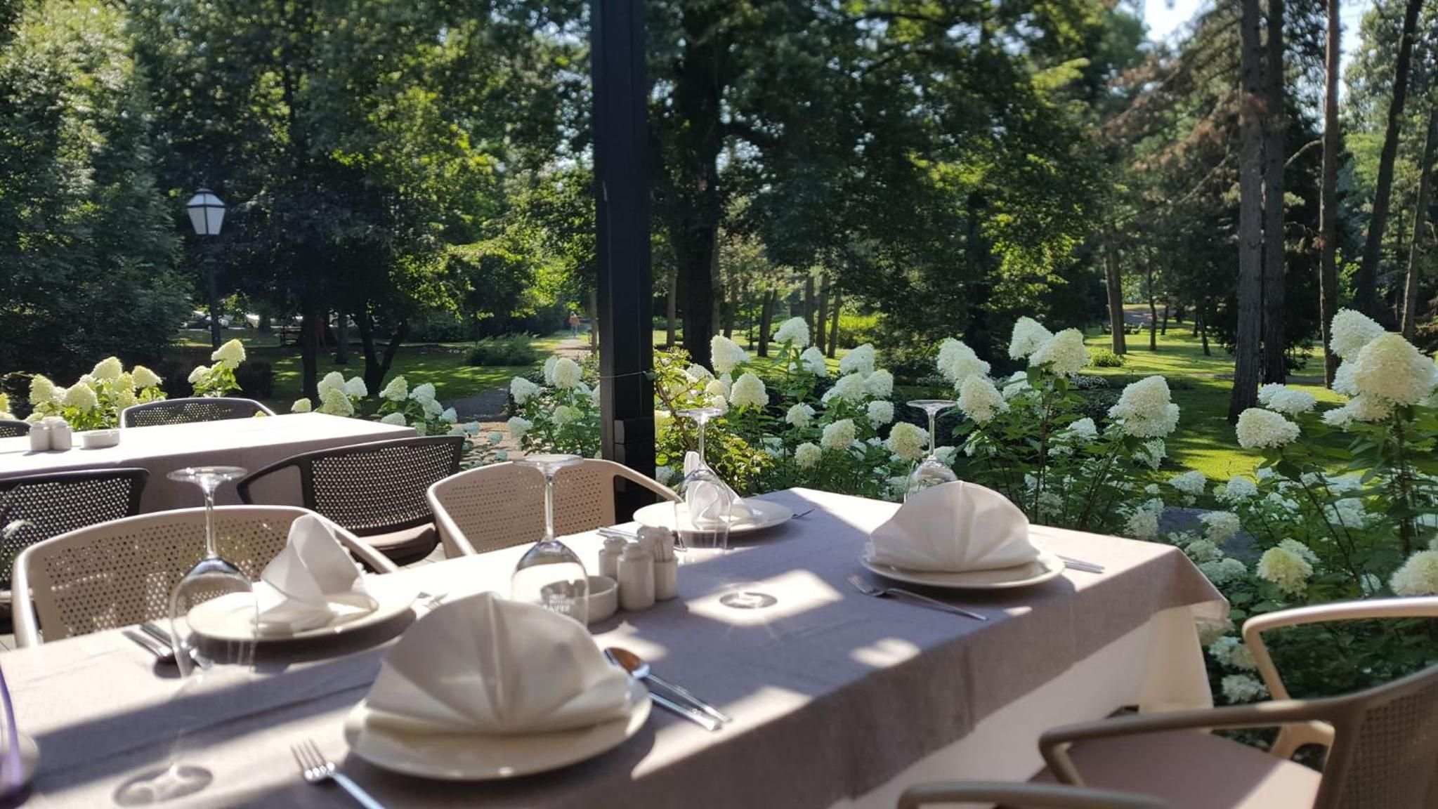 An outdoor dining area with tables set for a meal, surrounded by lush greenery and white flowers.
