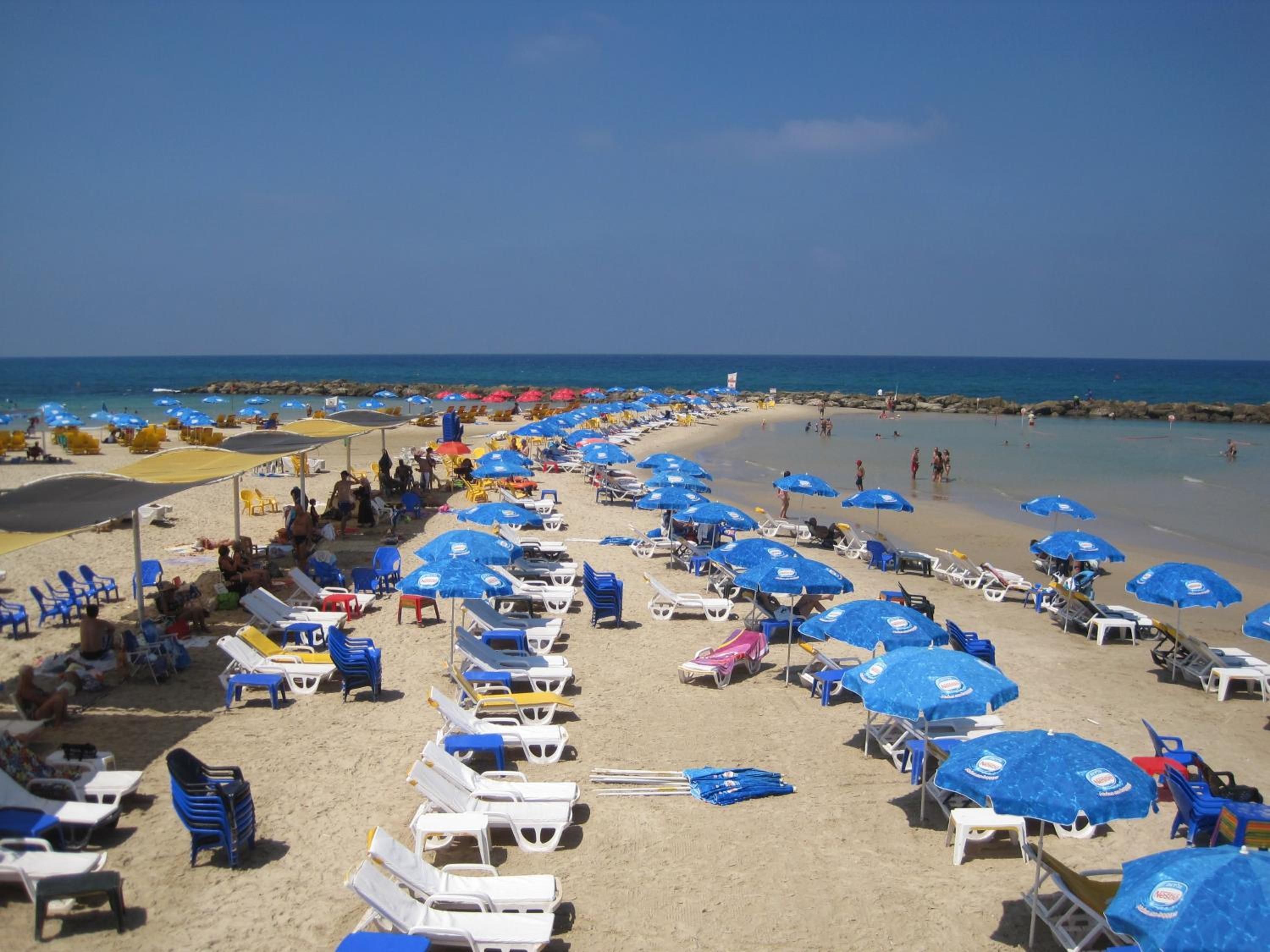 Une plage bordée de rangées de chaises longues et de parasols, un ciel dégagé et l’océan en toile de fond.