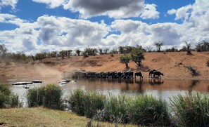 View from property - Loerie Lodge (Phalaborwa)