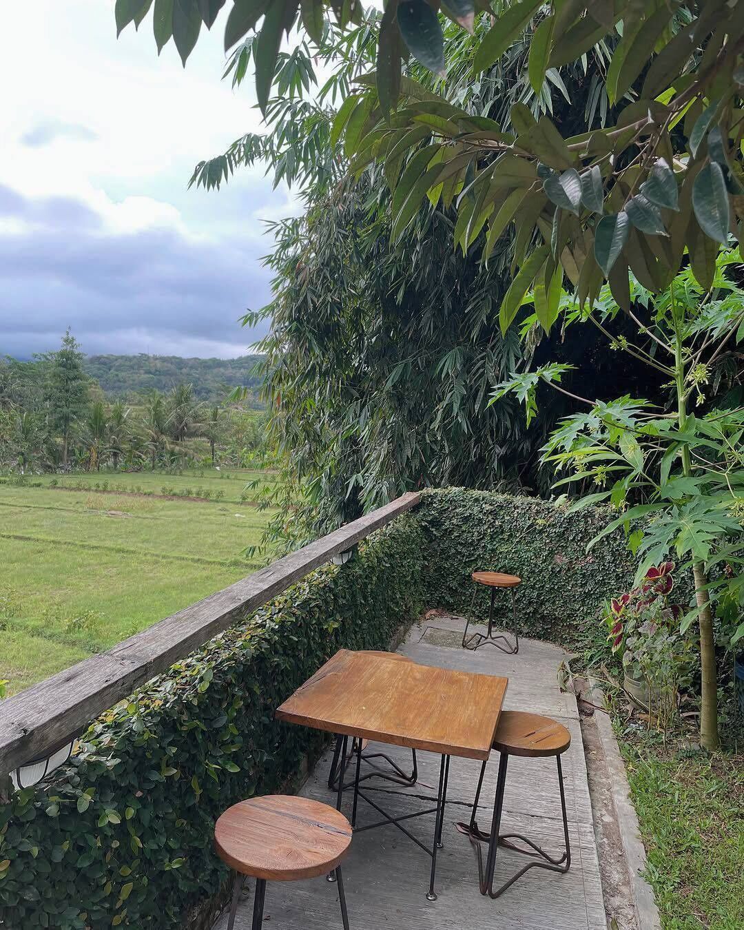 Economy Room | Outdoor dining