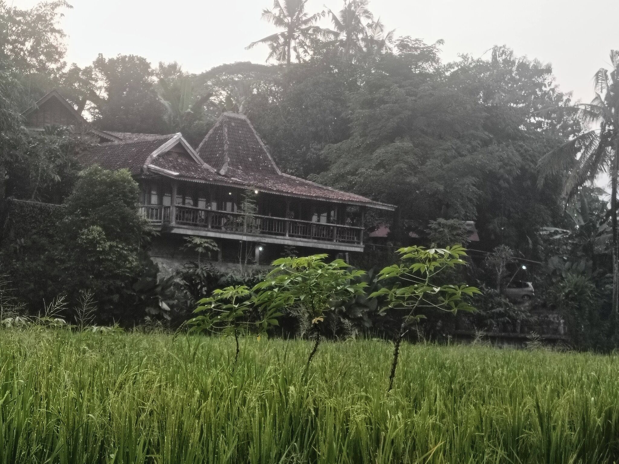 Economy Room | Property grounds