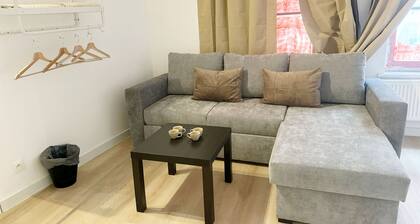 Convenient Studio in the Heart of City