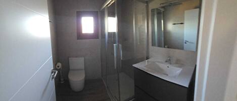 A bathroom with a glass shower enclosure, a toilet, and a sink with a mirror.