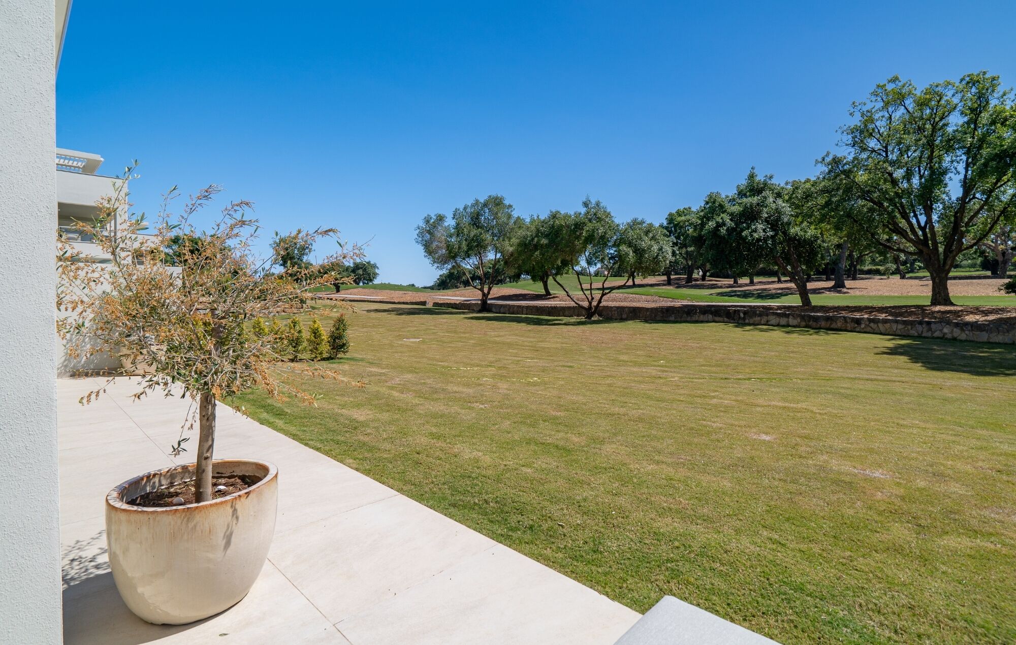 A well-maintained lawn, a large potted tree, and a stone wall in a residential area.
