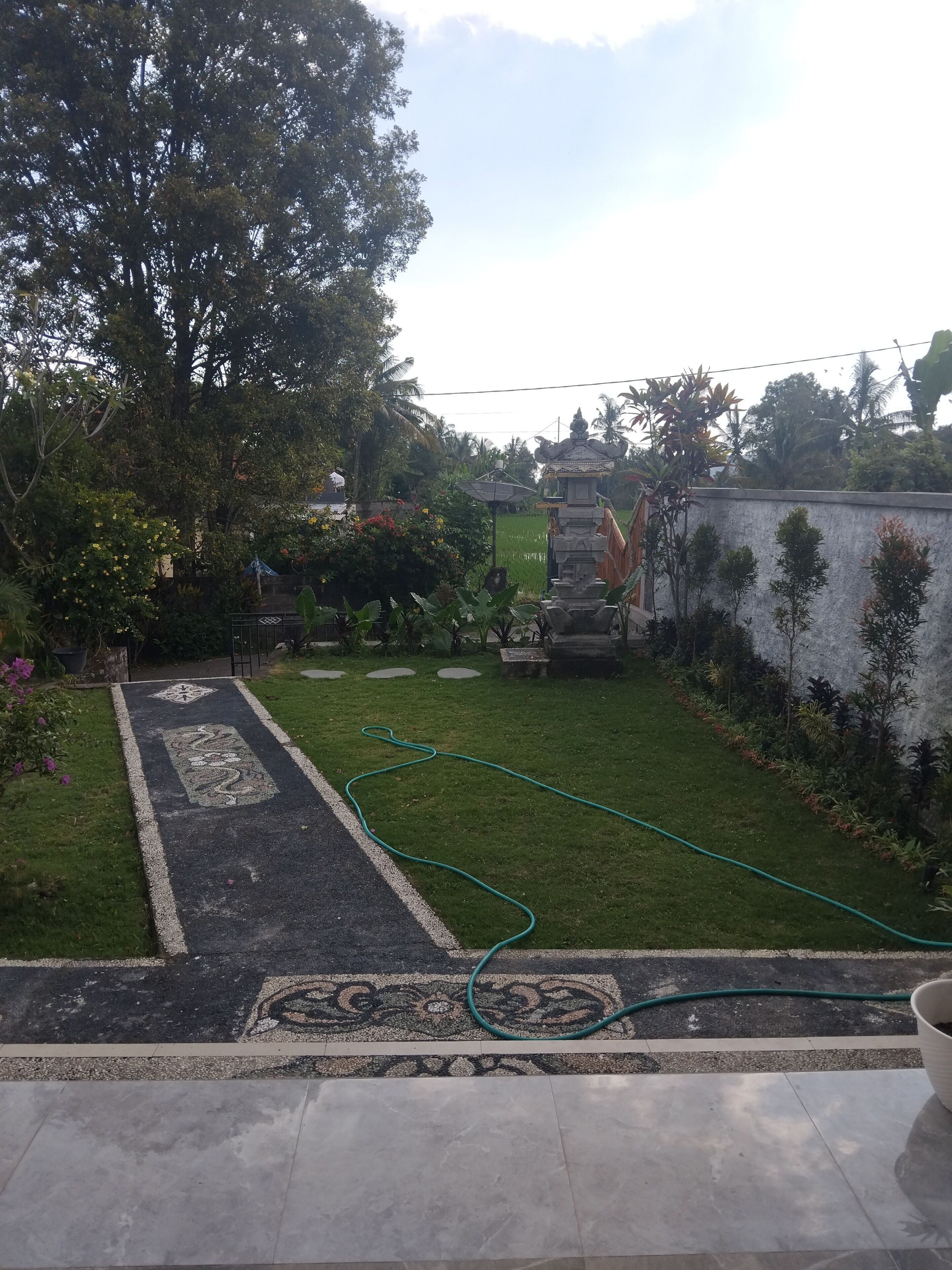 A garden with a paved pathway, a statue, and a water hose.
