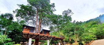 Mountain Front Hut For 2 Rare Birds, Bikes, nature