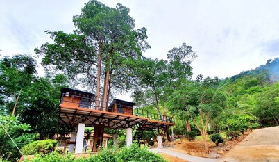 Mountain Front Hut For 2 Rare Birds, Bikes, nature