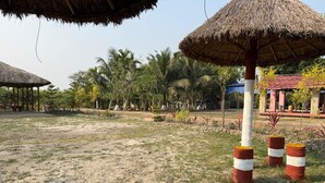 A sandy outdoor area with thatched umbrellas and striped bollards.