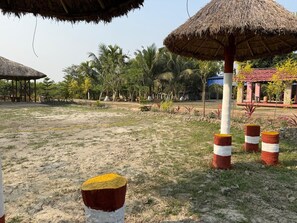 Property grounds - Dragon Fruit Farm Stay (Bamangachhi)