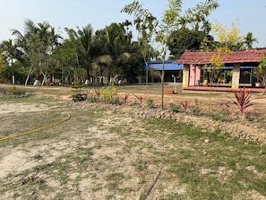 Property grounds - Dragon Fruit Farm Stay (Baruipur)