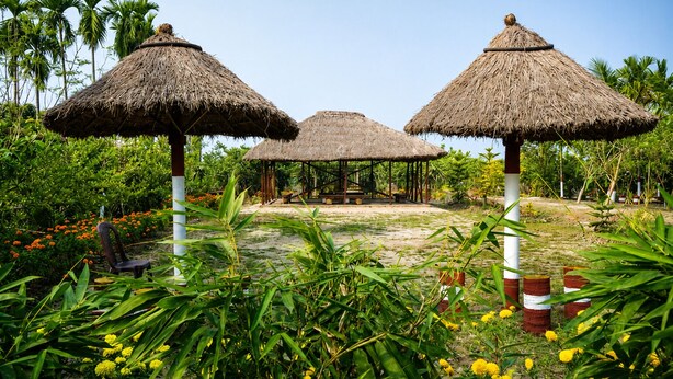 Three thatched-roof structures with white pillars, surrounded by lush greenery and flowering plants.