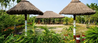 Dragon Fruit Farm Stay