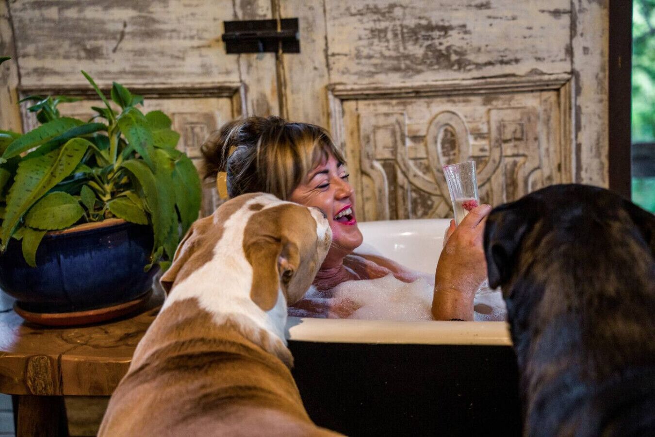 A person in a bathtub with two dogs.