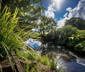 Property grounds - The Bangalow Barn In The Byron Hinterland (Bangalow)