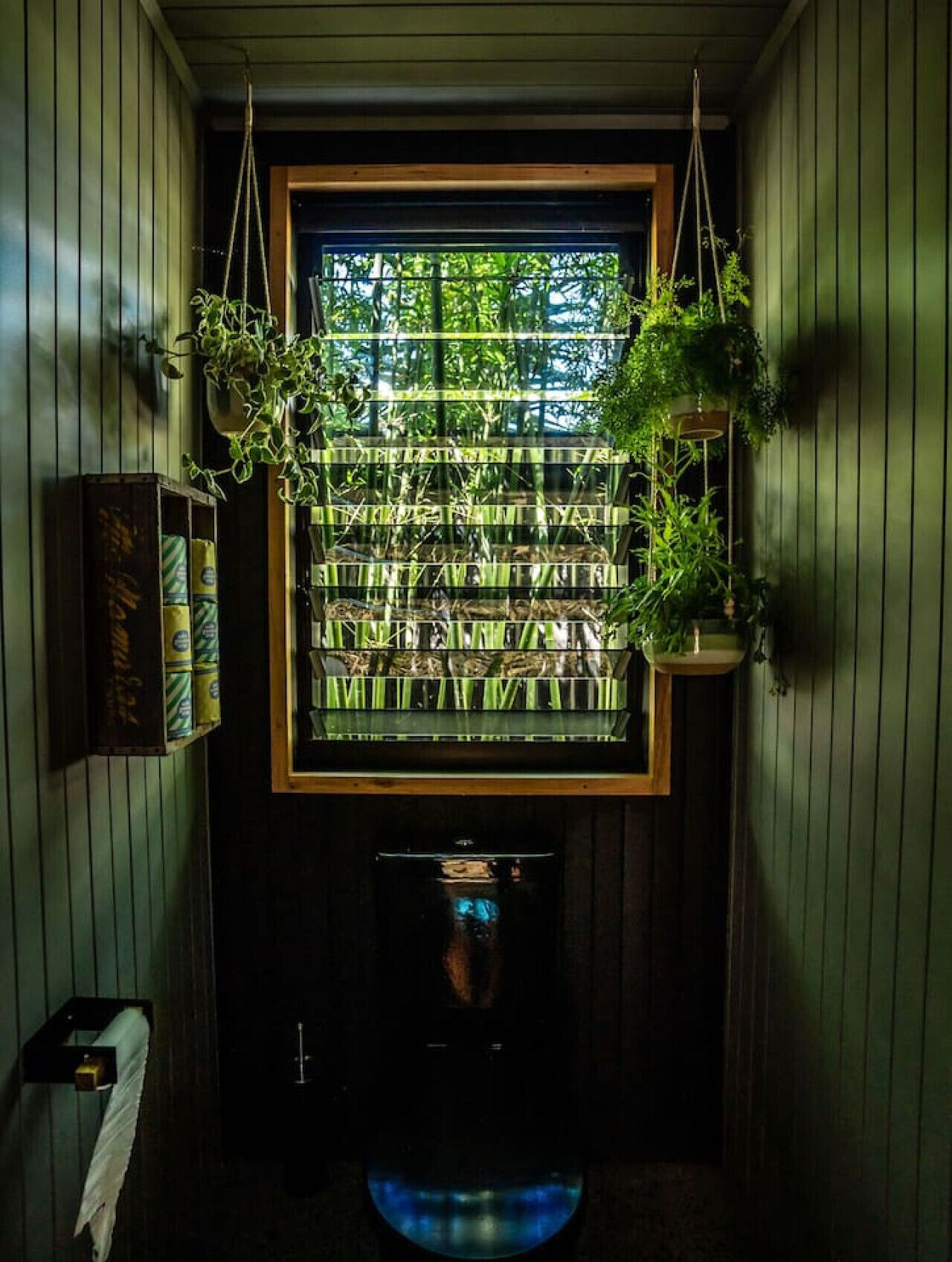 A bathroom with a window, hanging plants, a towel rack, and a toilet.