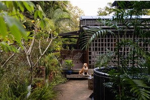 Property grounds - Bangalow Barn (Entire) - Romantic Getaway for 2 (Bangalow)