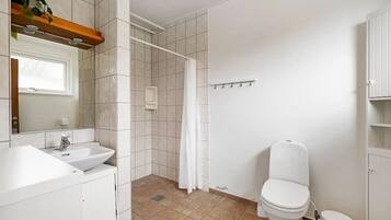A bathroom with a sink, toilet, shower, and a mirror.