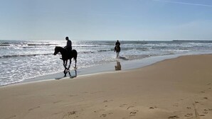 A beach with horses and riders, a clear sky, and the ocean. - Appartamento Tramonto sul Mare (Caucana)