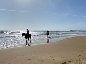 A beach with horses and riders, a clear sky, and the ocean. - Appartamento Tramonto sul Mare (Caucana)